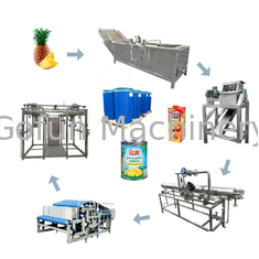 Автоматическая сконцентрированная производственная линия 15T/Day сока ананаса SS304