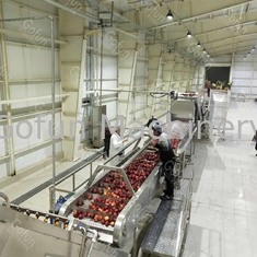 Качество еды Sus304/технологическая линия 10 яблочного сока 316L - 100T/D