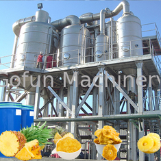 Автоматическая сконцентрированная производственная линия 15T/Day сока ананаса SS304
