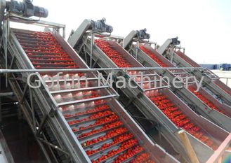 Промышленная Вегетабле вода технологической линии томатной пасты технологической линии сохраняя легкую деятельность