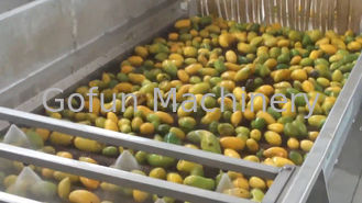 Тариф высокого эффективного завода по обработке манго малого масштаба высокий извлекая