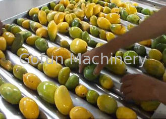 Электрическое удаление свежего камня машины обработки 5Т/Х сока манго
