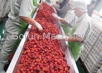 варенье плода ягоды 380В обрабатывая сертификат машинного оборудования 20Т/Х ИСО9001