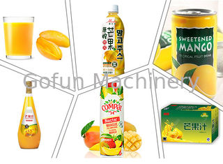 Сконцентрированный сок извлекая технологическую линию 25T/H манго