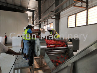Завод по обработке кетчуп томата качества еды 600T/D SS304
