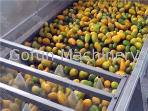 Обслуживание стопа машины обработки 3T/H сока манго SUS304/316L одного