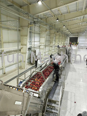 380V технологическая линия яблочного сока SUS 304 для пищевых промышленностей