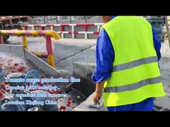 Какие машины необходимы для производства томатного соуса?