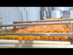 Производственная линия промышленной обработки соков NFC, полный набор очистки, соков, стерилизации и