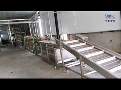 Оборудование для переработки тропических фруктов: целлюлоза + сок + сухофрукты три в одном