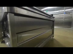 Автоматическая машина для очистки фруктов и овощей Полный комплект линий очистки фруктов и овощей