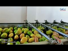 Линия по производству сока манго премиум-класса