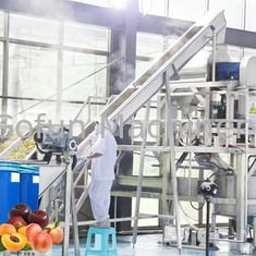 Профессиональная технологическая линия концентрации сливы завода по обработке персика
