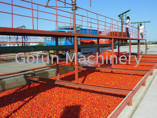 Коммерчески технологическая линия томата 380В/завод по обработке пюра томата