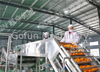 Деятельность завода по обработке лимона технологическая линия/440В цитруса ХПП легкая