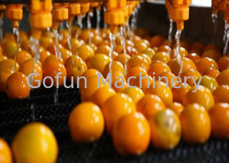 Промышленная технологическая линия по переработке цитрусовых Апельсин Лимонный процессор 1 год гарантии