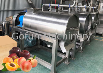 Высушенное пюре сока завода по обработке персика технологической линии плода СС 304