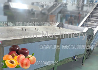Высушенное пюре сока завода по обработке персика технологической линии плода СС 304
