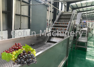 Окружающая среда стиральной машины виноградины обрабатывающего оборудования фруктового сока сбережений воды свежая дружелюбная