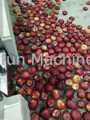 Технологическая линия фруктового сока прессы технологической линии Яблока SUS 304 стандарта еды холодная