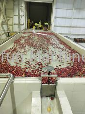 Экономия воды Энергия Экономия фруктов Концентрированный яблочный сок варенье Производственная линия Проект под ключ