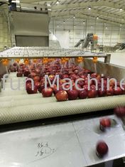 Линия производства яблочного варенья / сока 380 В 50 Гц 2 т / ч Экономия воды
