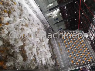 Технологическая линия сока виноградины управлением 220V 3T/Day PLC