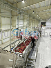 Технологическая линия 3T/H Яблока для подогрева комплектного оборудования сока