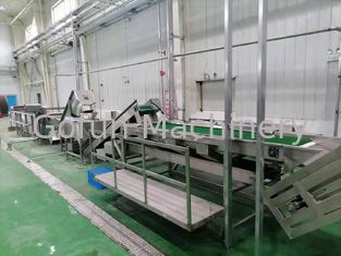 Завод по обработке Guava производственной линии 415V пульпы Guava 500T/D для сконцентрированного сока