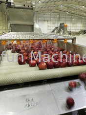 Технологическая линия фруктового сока прессы технологической линии Яблока SUS 304 стандарта еды холодная